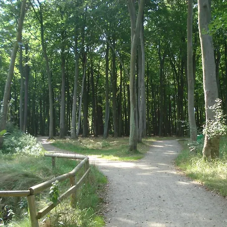 Lejlighed Kuestenwald - Igel 32 *