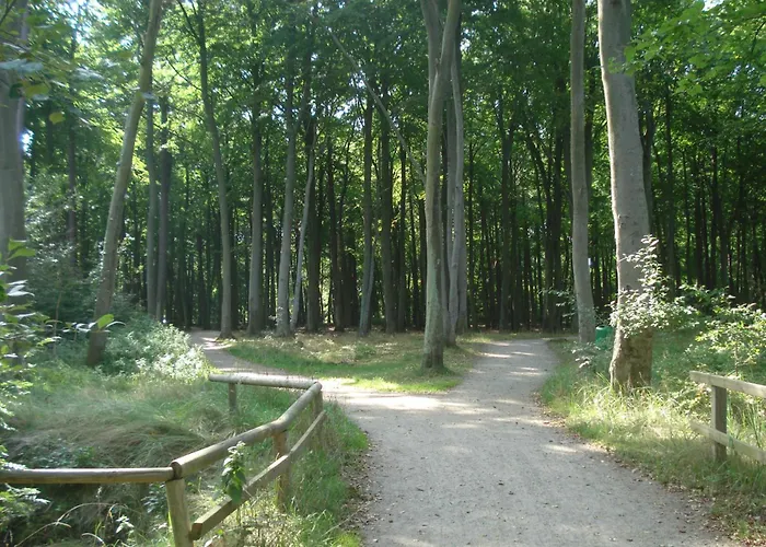 公寓 Kuestenwald - Igel 32 *